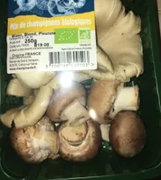 Mix de champignons biologiques