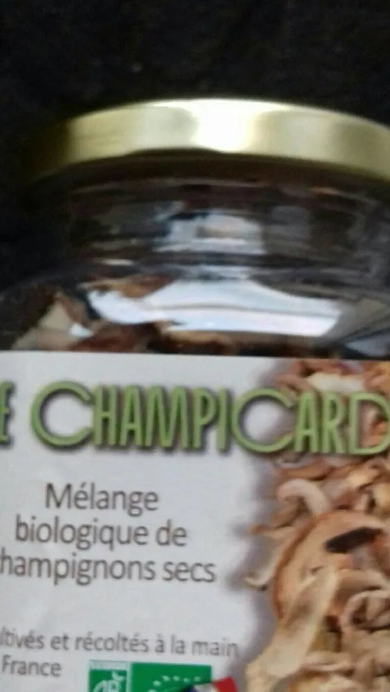 Champignons secs