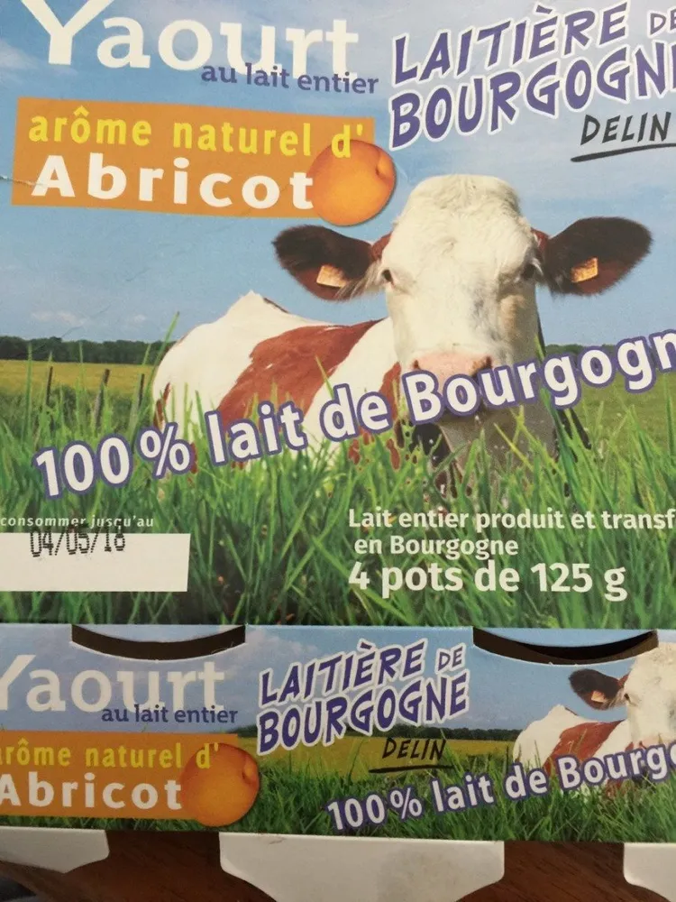Yaourt laitiere de Bourgogne arome abticot
