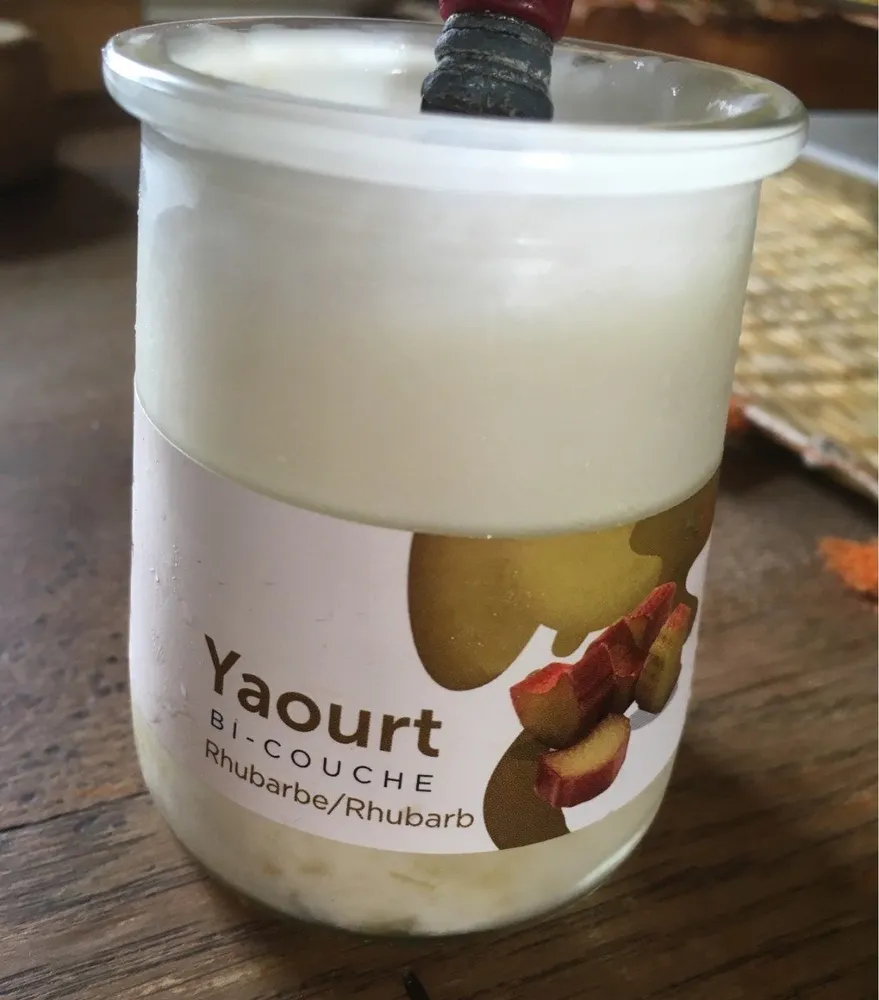 Yaourt Bi-Couche rhubarbe