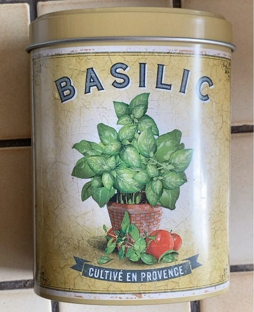Basilic