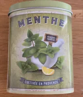 Menthe