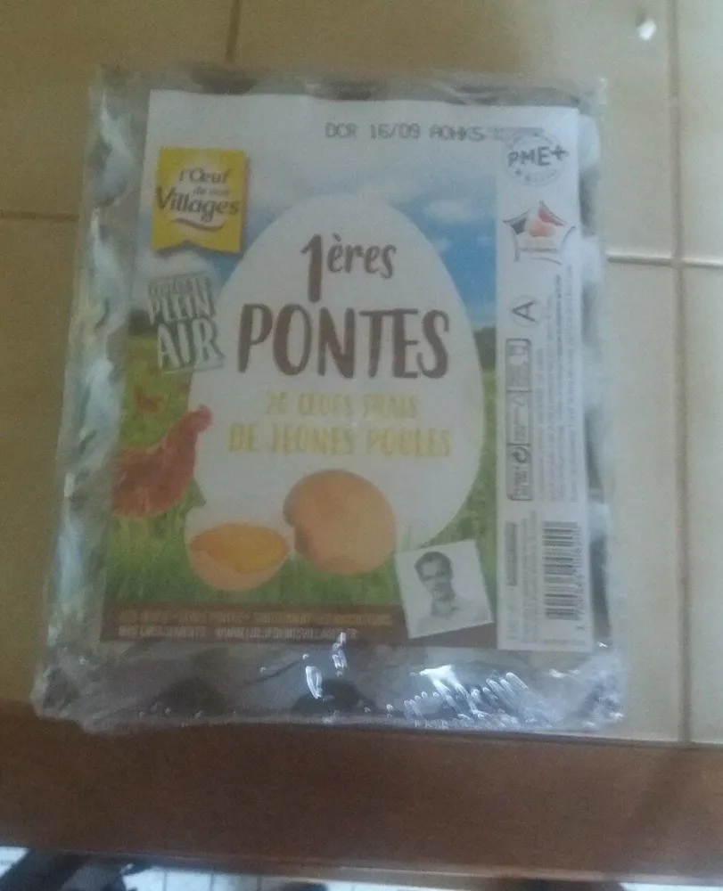 Oeufs 1ères pontes Plein Air