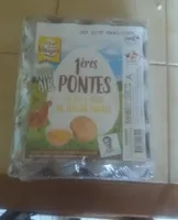 Oeufs 1ères pontes Plein Air