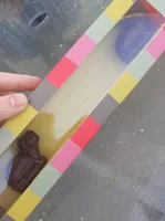 Réglette Moulage de 5 tortues aux chocolats