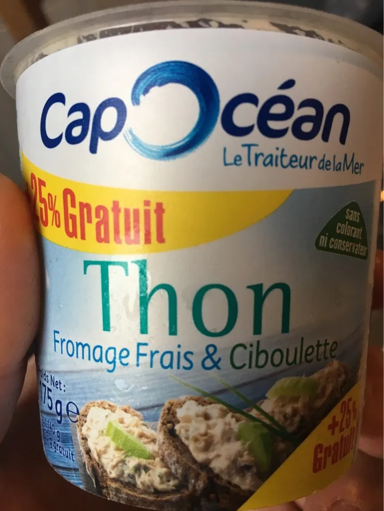 Thon fromage frais et ciboulette