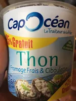 Thon fromage frais et ciboulette