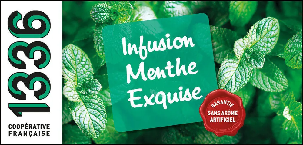 INF MENTHE EXQUISE