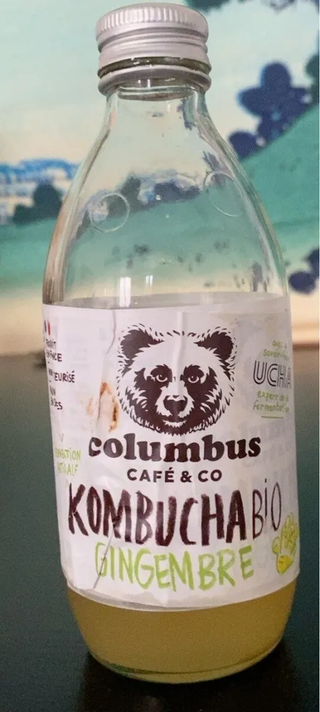 Kombucha Bio Gingembre
