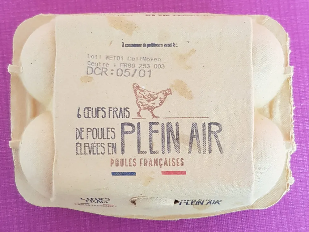 Oeufs frais plein air