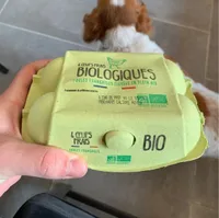6 oeufs frais bio