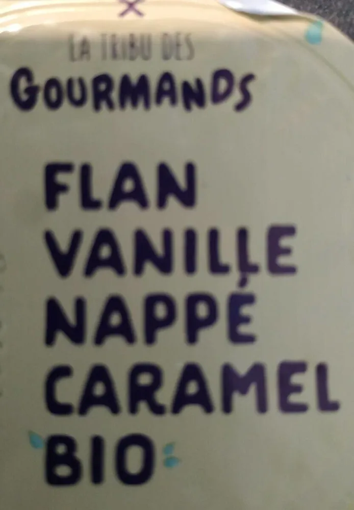 Flan vanille nappé caramel bio