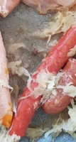 Choucroute garnie