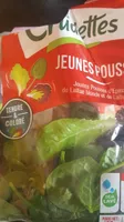 Jeunes pousses