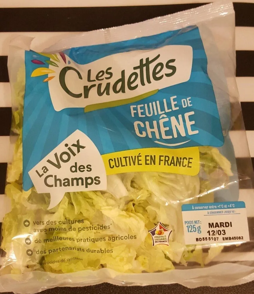 Feuille de chêne