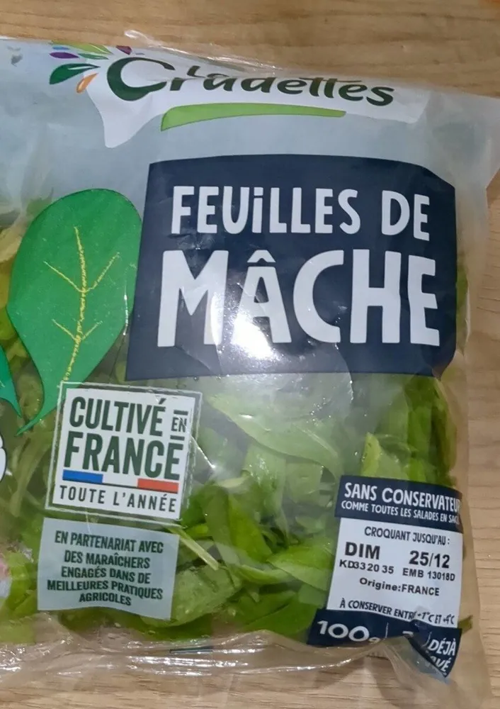 Feuilles de mache