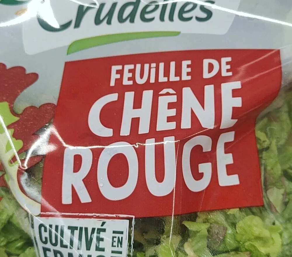 Feuille de chêne rouge