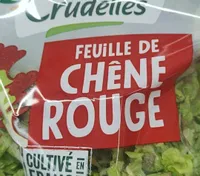 Feuille de chêne rouge