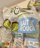 Laitue rouge