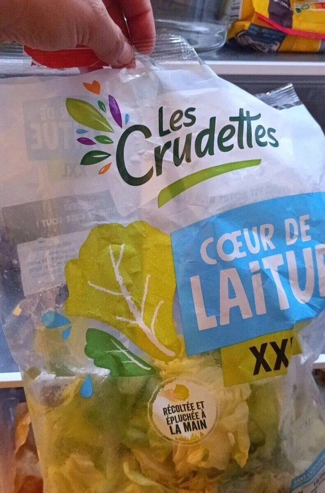 Laitue