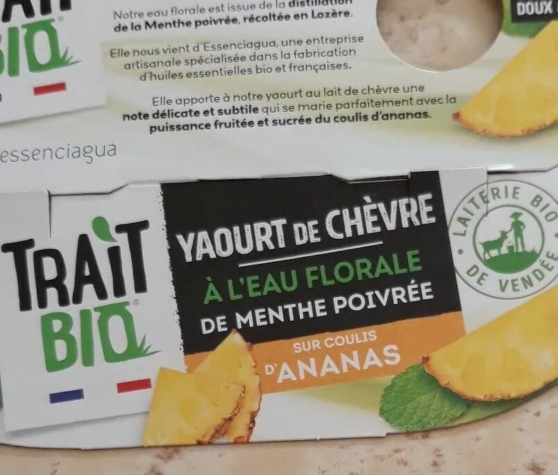Yaourt de chèvre menthe poivrée sur coulis d'ananas