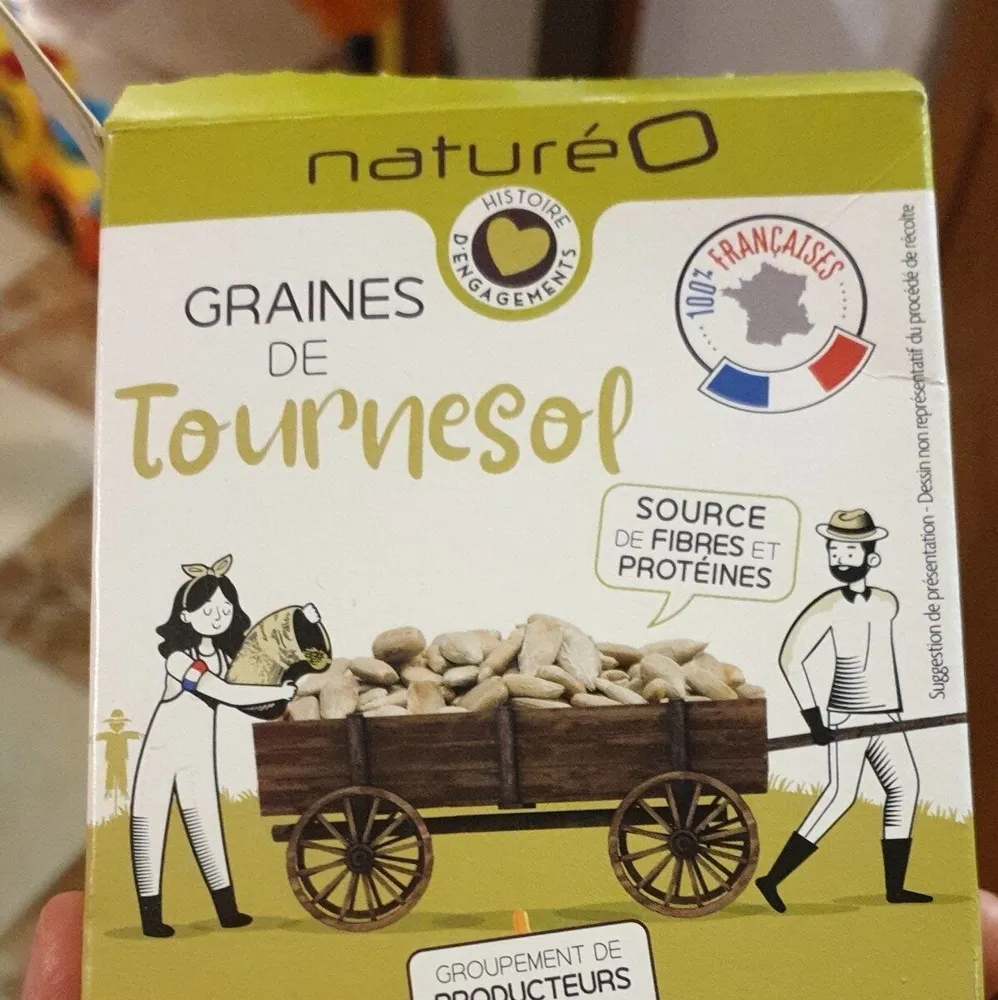 Graine de tournesol
