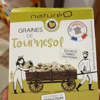 Graine de tournesol