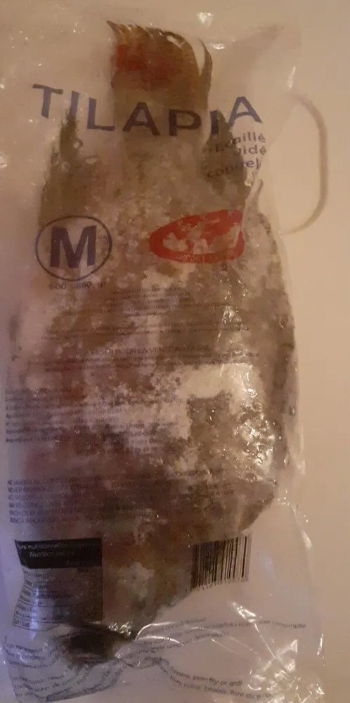 Tilapia