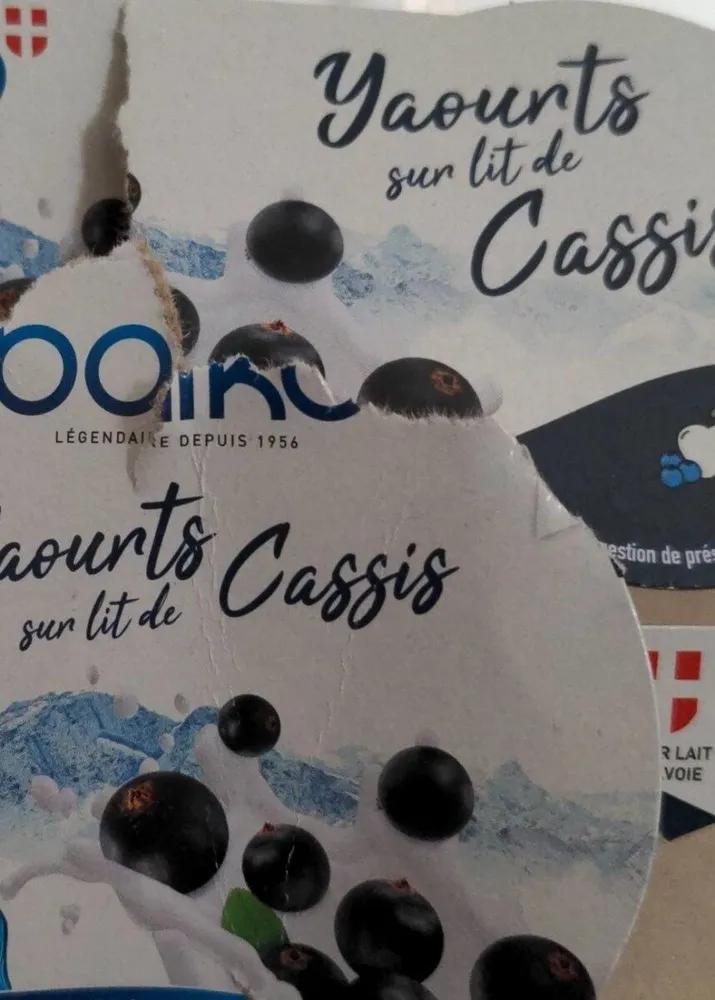 Yaourts sur lit de cassis