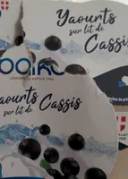 Yaourts sur lit de cassis