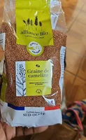 Graines de cameline