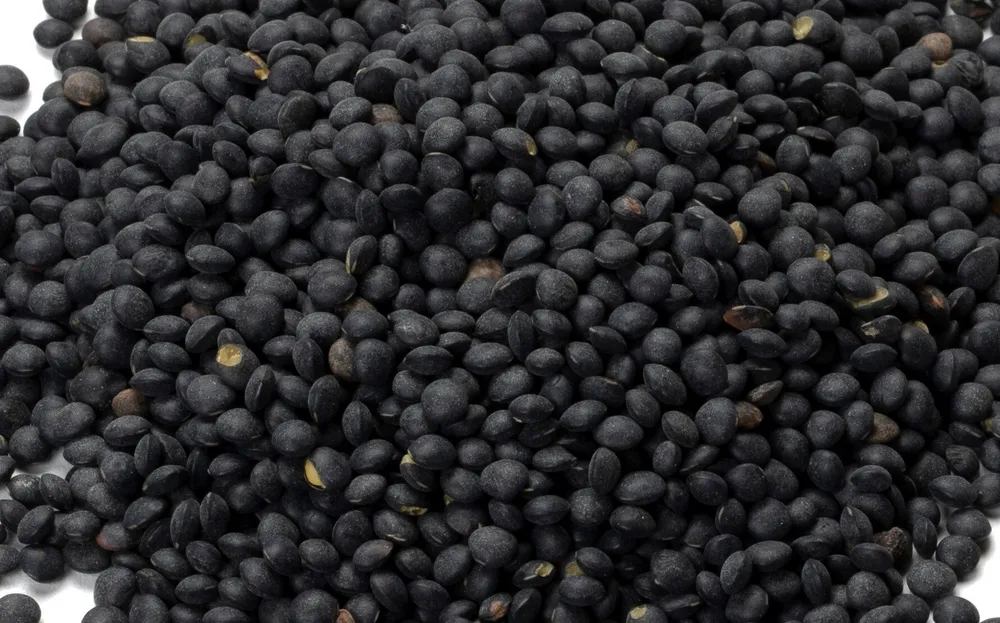 Lentilles noires Bio