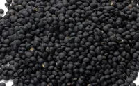 Lentilles noires Bio