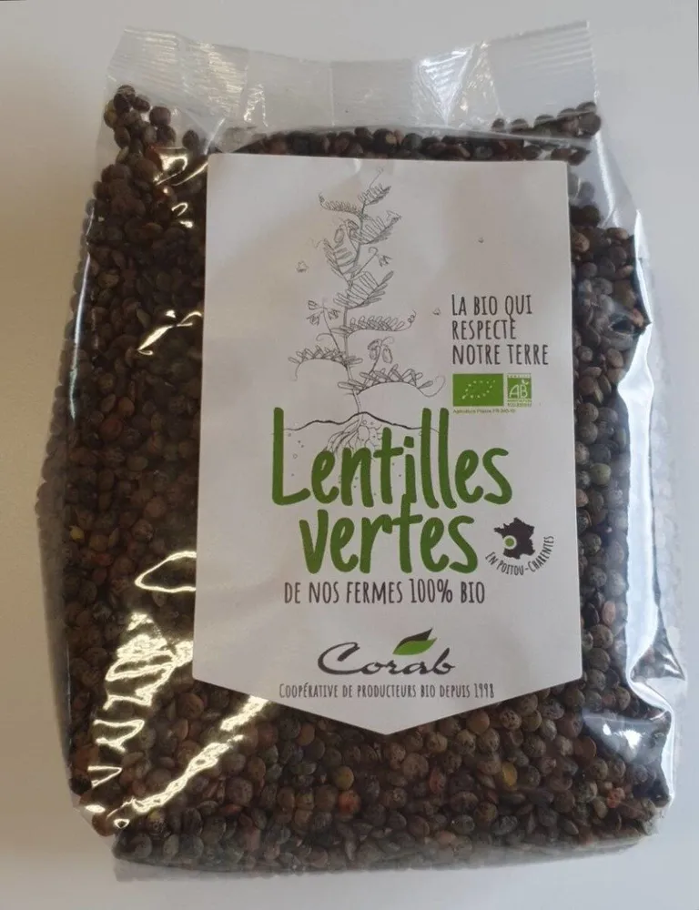 Lentilles vertes bio