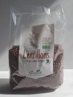 Lentillons bio