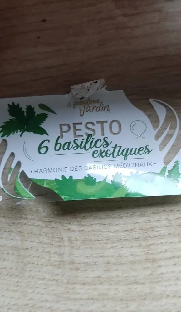 Pesto 6 basilics médicinaux