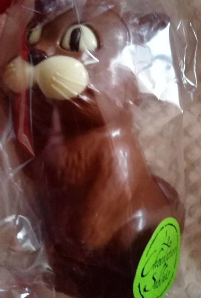 Moulage de chocolat au lait décoré