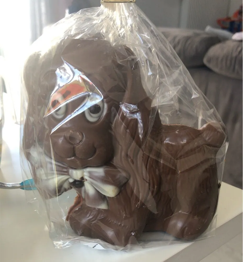 Moulage chocolat chien