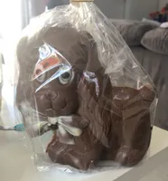 Moulage chocolat chien
