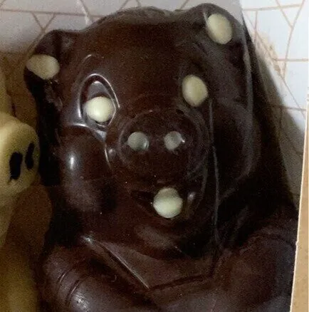 Moulages se chocolat assortis