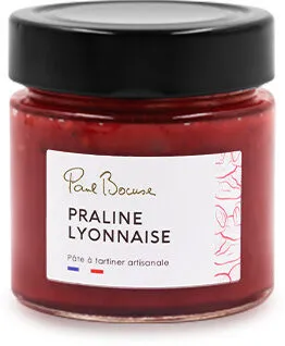 Pâte à tartiner Praline lyonnaise