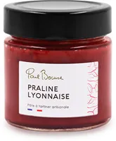 Pâte à tartiner Praline lyonnaise