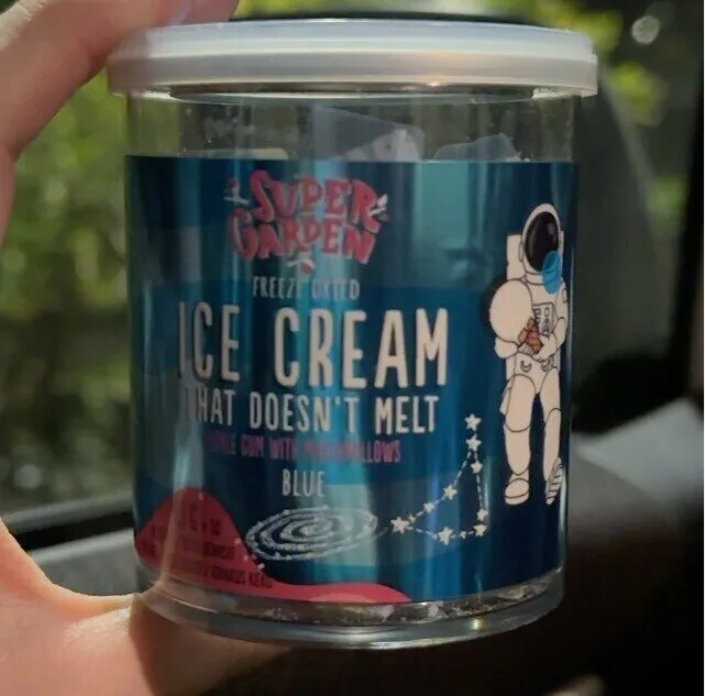 Ice cream freeze dried