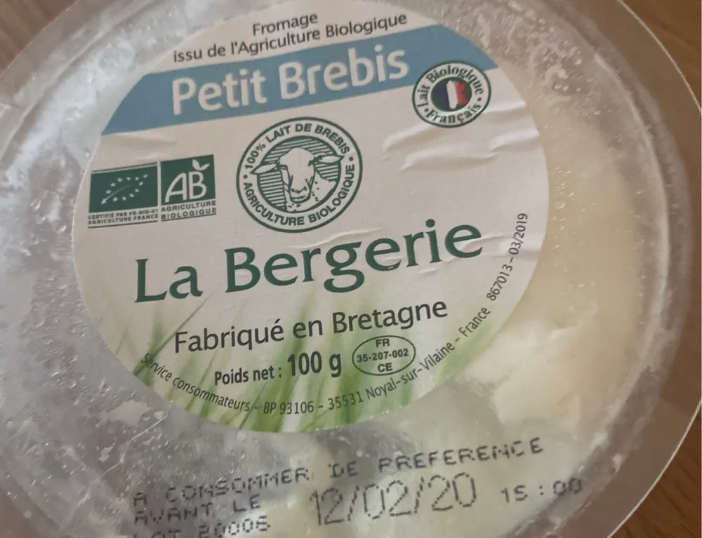 Petit brebis