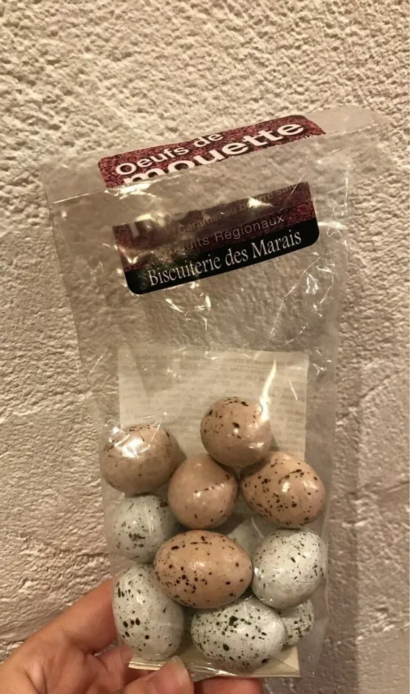 Oeufs de mouette