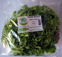 Salade Batavia Bio Pays Landais