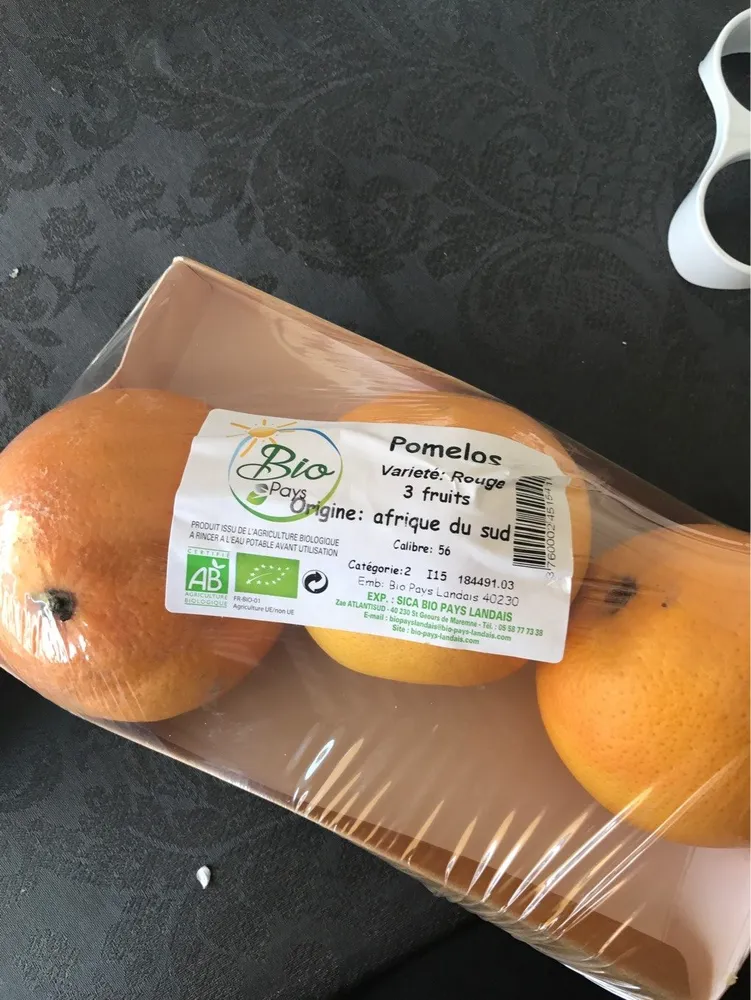 Pomelos Variété Rouge