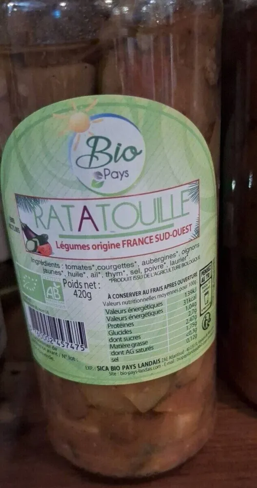 Ratatouille