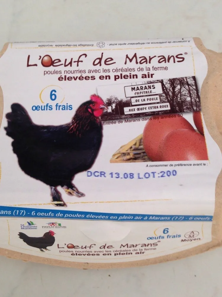 L'oeuf de Marans