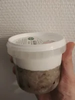 Dessert Che Dau Trang 320G
